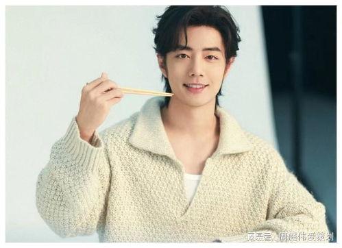 爆料娱乐圈杨紫肖战,娱乐圈新势力崛起